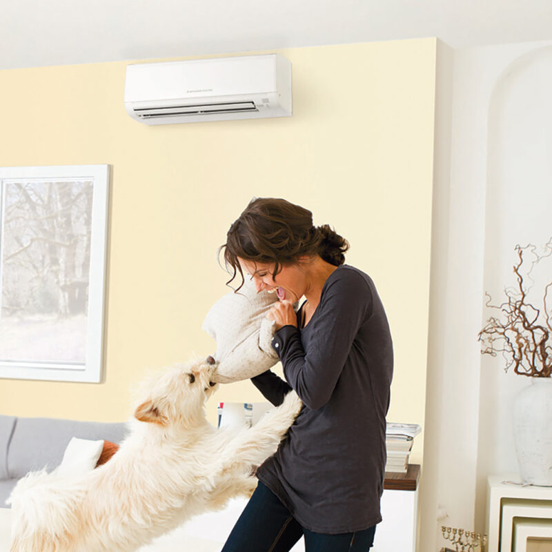 Woman playing with dog in living room with heat pump behind her